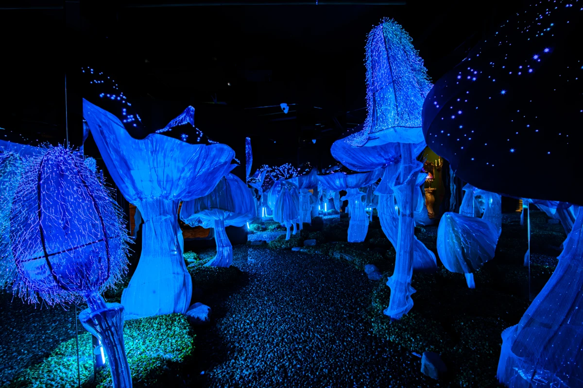 Билет в интерактивный парк развлечений Magic Park — фото 3
