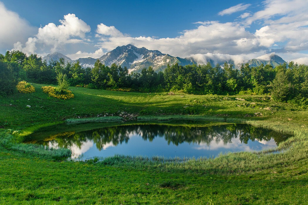 Легкий треккинг в горах над Красной Поляной — фото 2