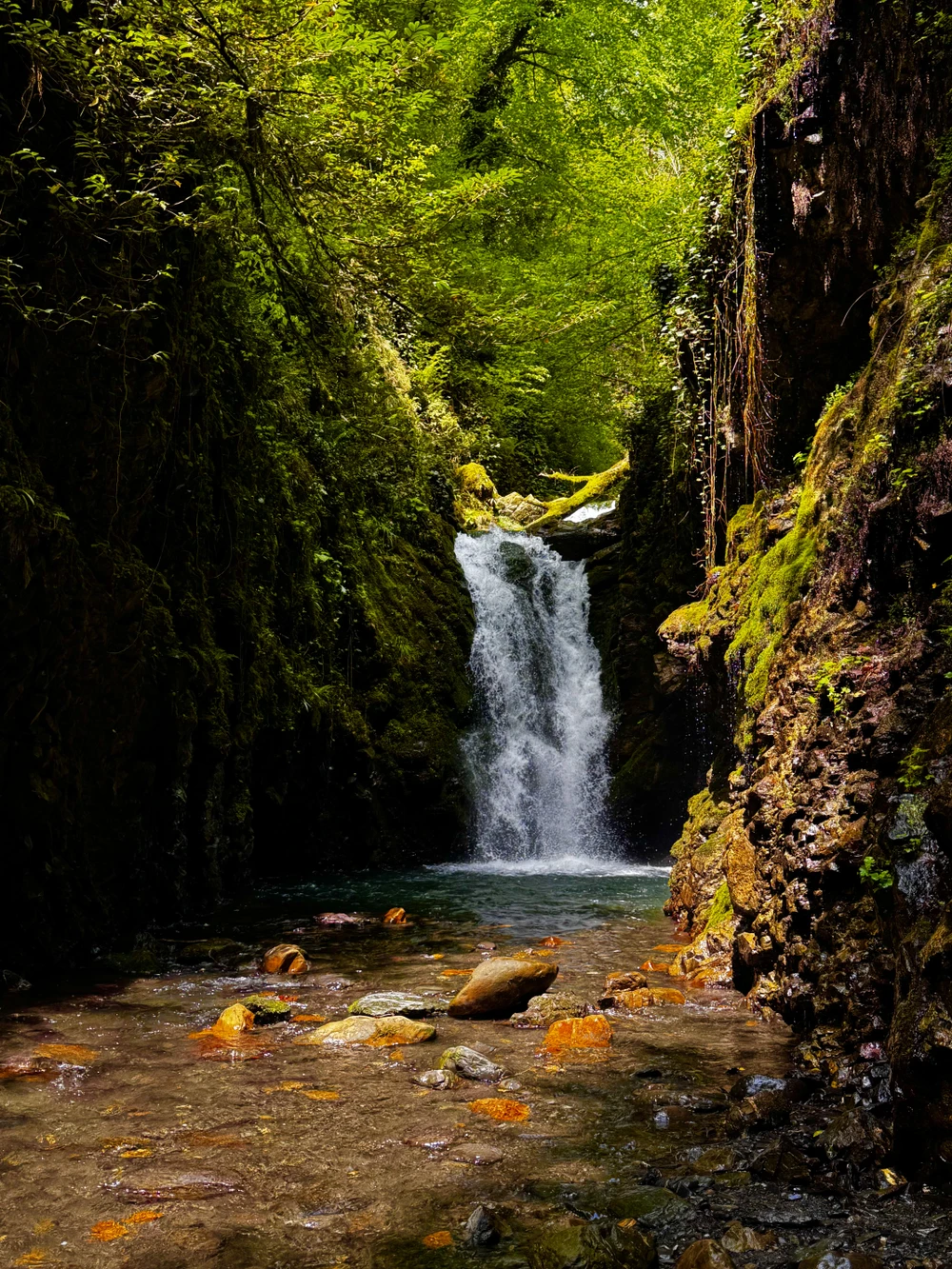 Сочи, который вы не знали — фото 4