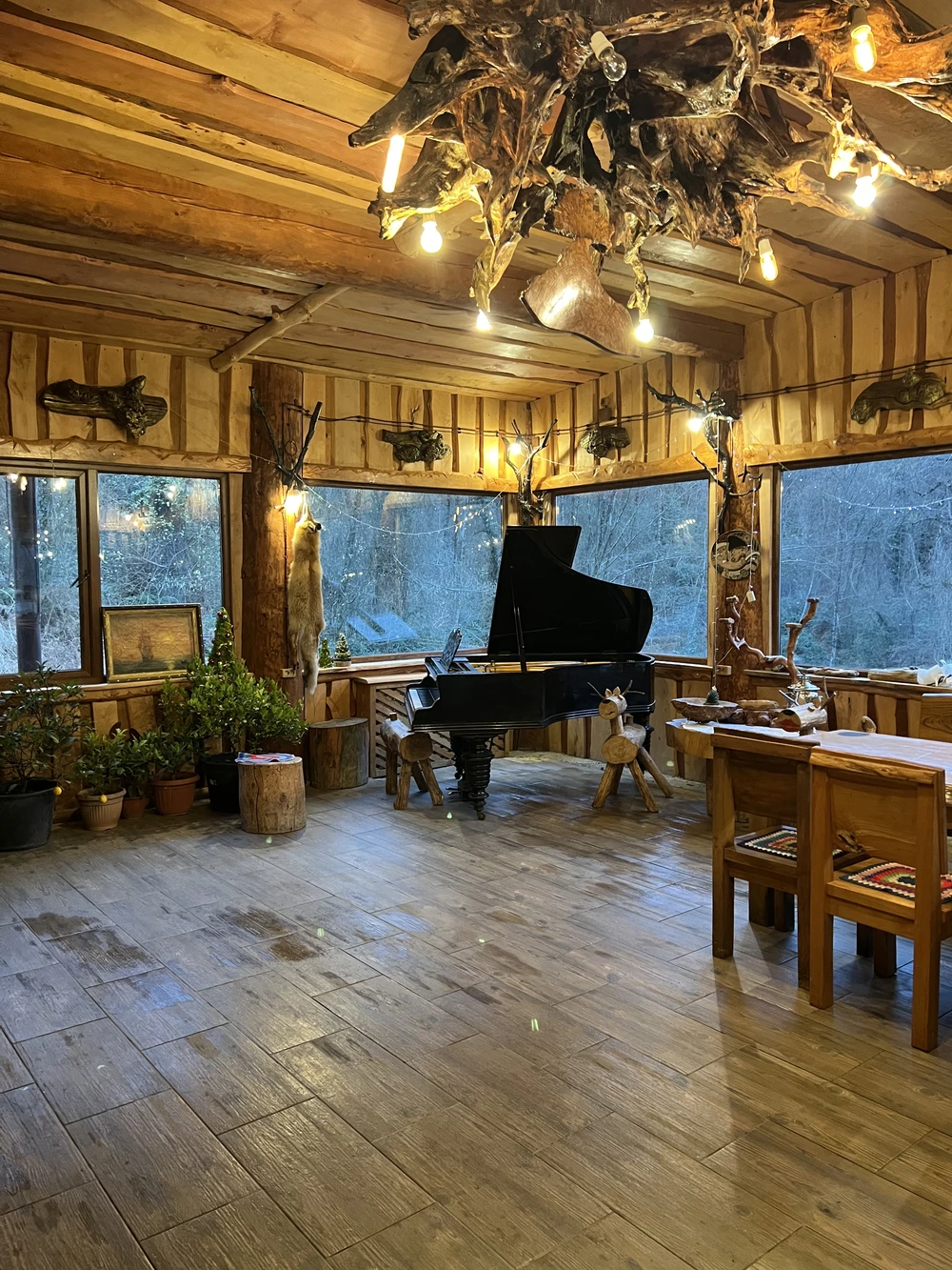 Из Сочи — на экоферму, винодельни и чайные плантации — фото 10