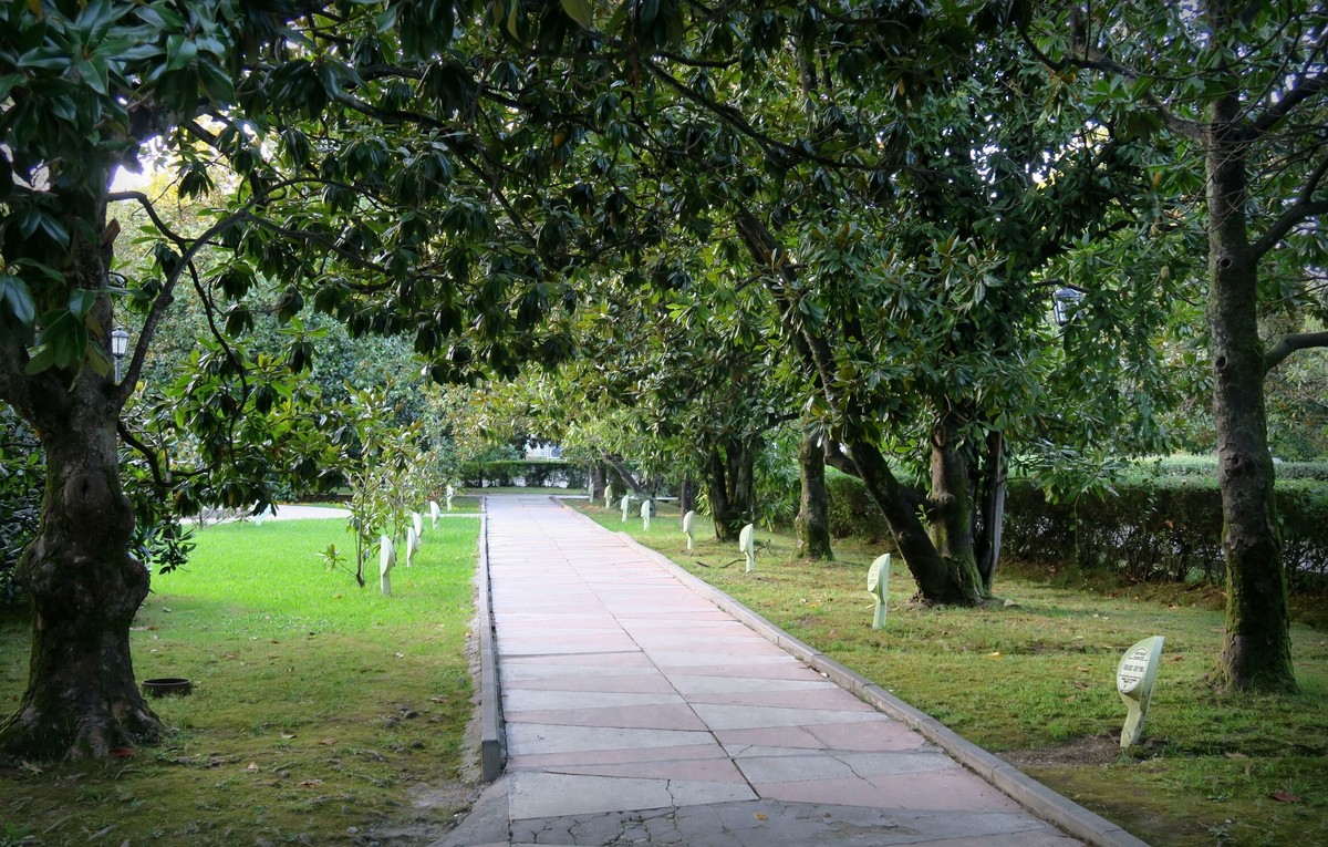 Walk & talk: экскурсия с коучем по парку «Ривьера» — фото 4