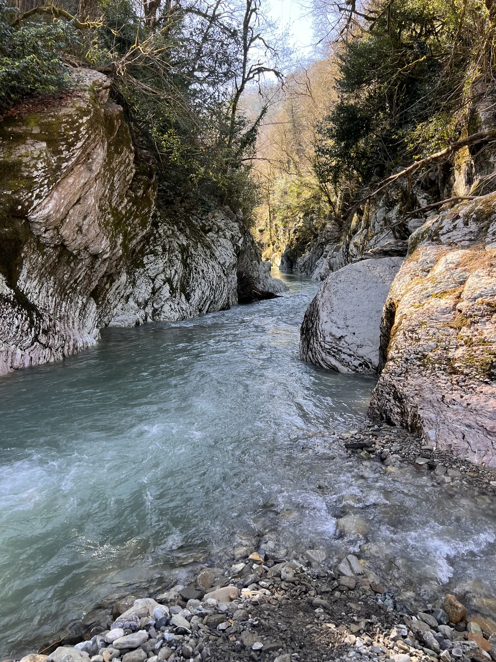 Такой разный Сочи: водопады, ущелья и чайные плантации (из Сочи) — фото 9