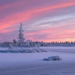 Роман