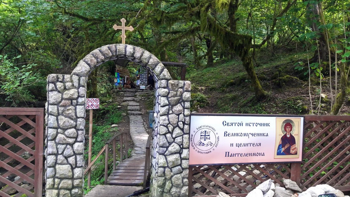 Солох-Аул: история и традиции чаеводства в Сочи — фото 7